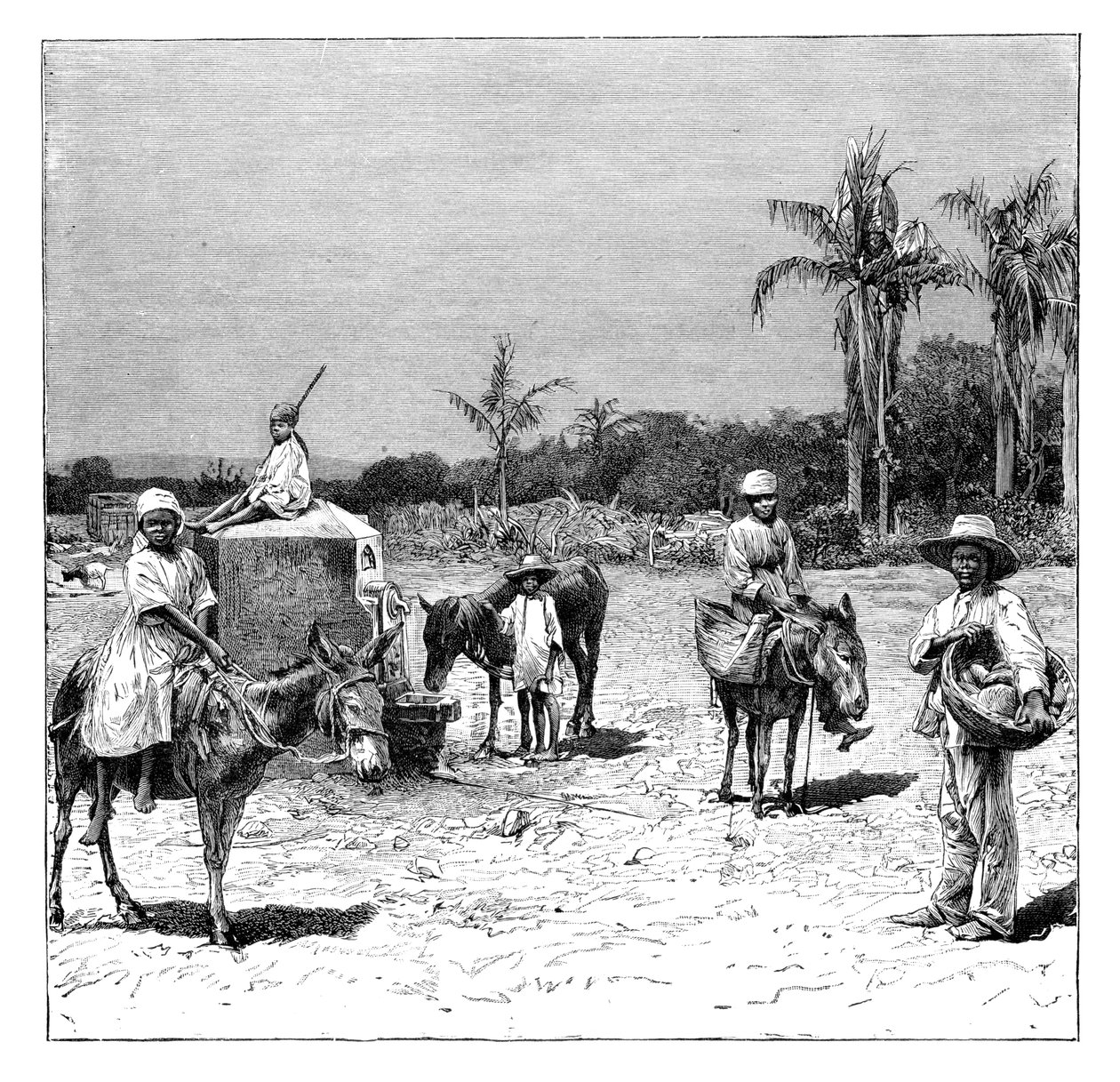 Gruppe av haitiere, ca 1890 av Unbekannt