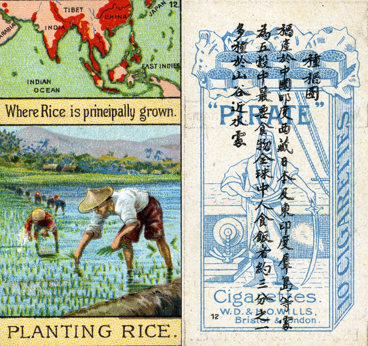 Growing and Planting Rice, fra serien med 