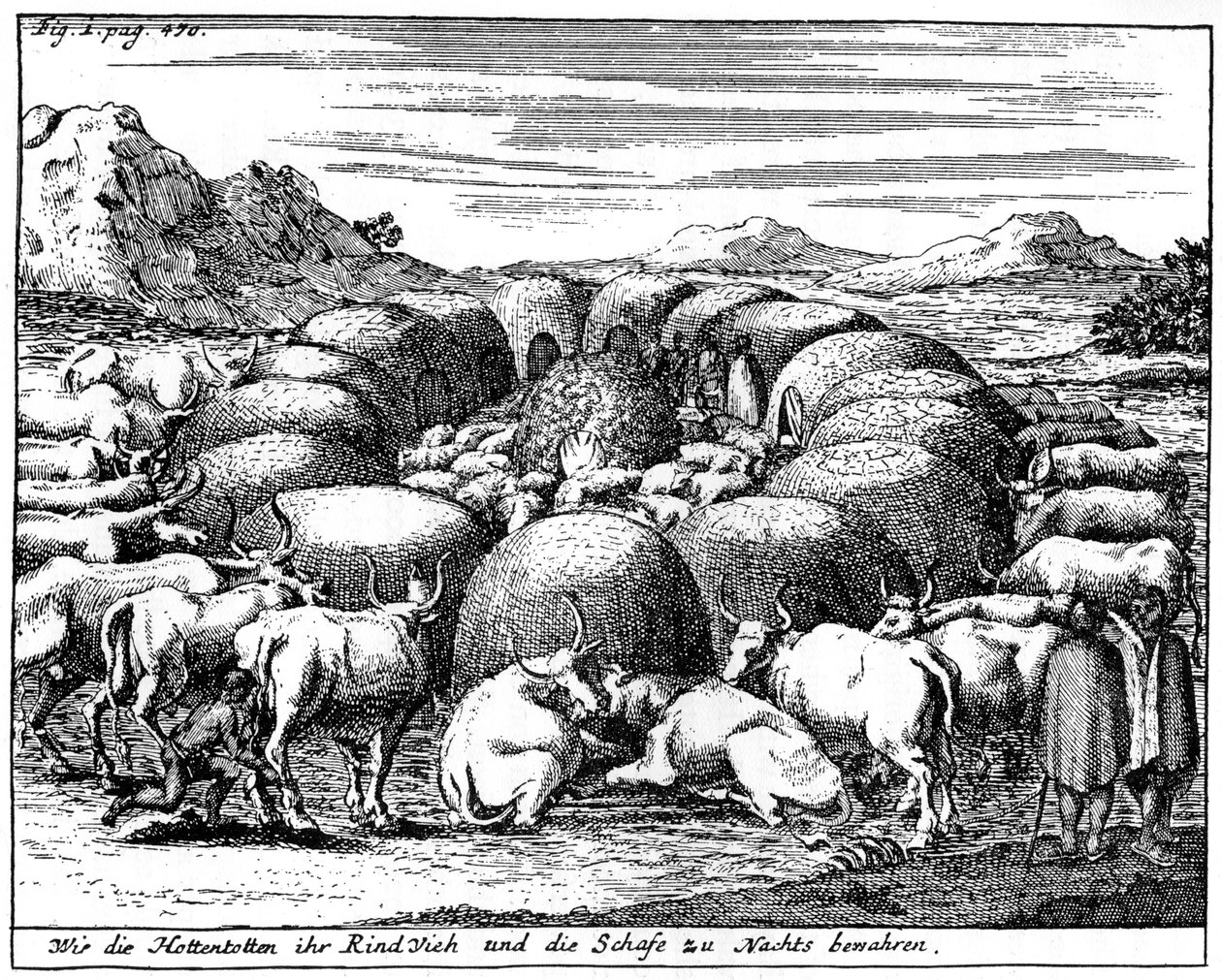 Vokter sauer og storfe om natten, Sør-Afrika, 1700-tallet 1931 av Unbekannt