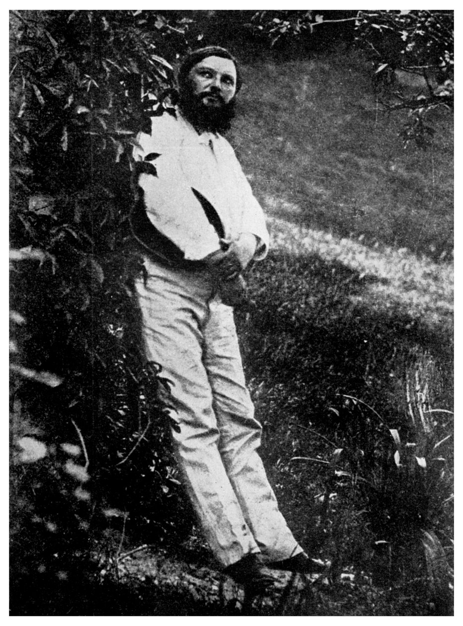 Gustave Courbet , fransk kunstner, 1800-tallet 1956 av Unbekannt