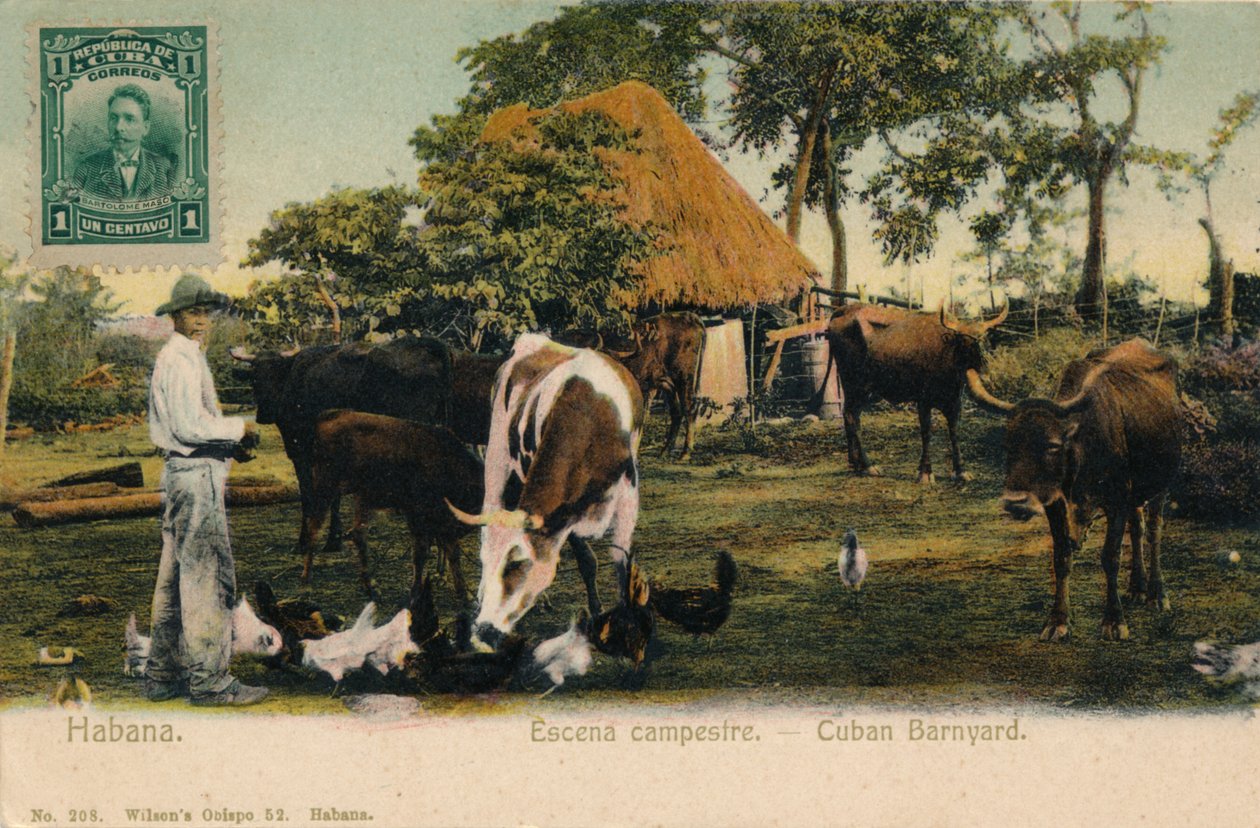 Havanna. Country Scene - Cuban Barnyard, c1910 av Unbekannt