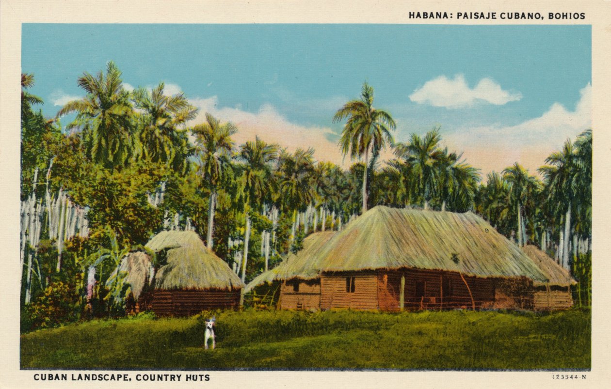 Havana: Kubansk landskap, Bohios. Kubansk landskap, landhytter, c1910 av Unbekannt