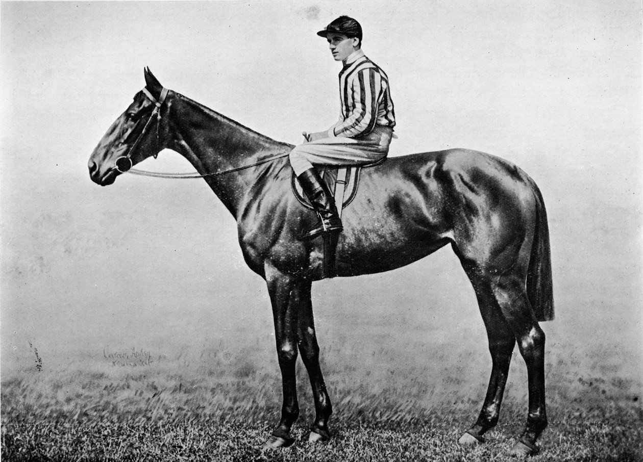 Hacklers Pride, c1860, 1911 av Unbekannt