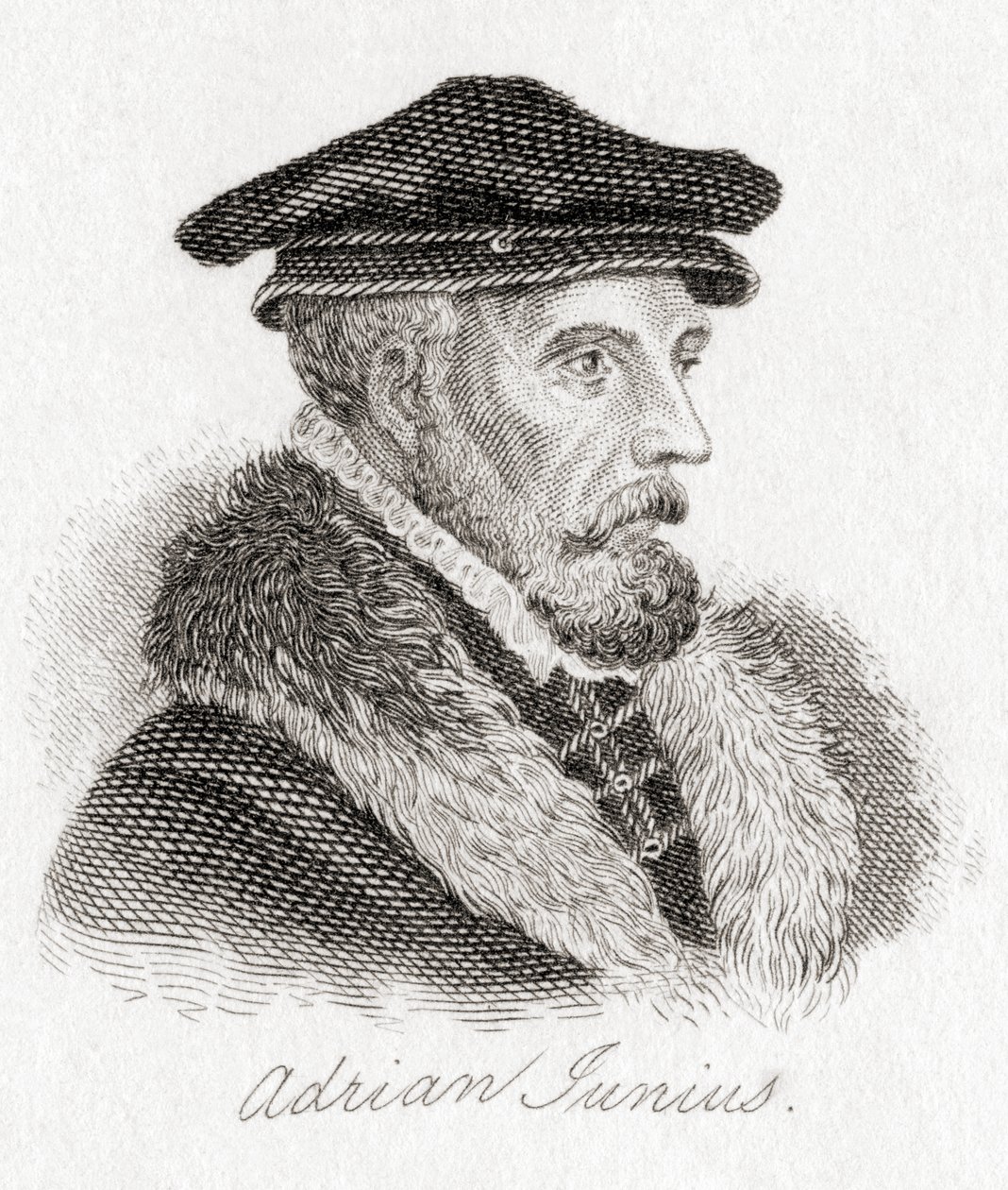 Hadrianus Junius, 15111575, aka Adriaen de Jonghe. av Unbekannt