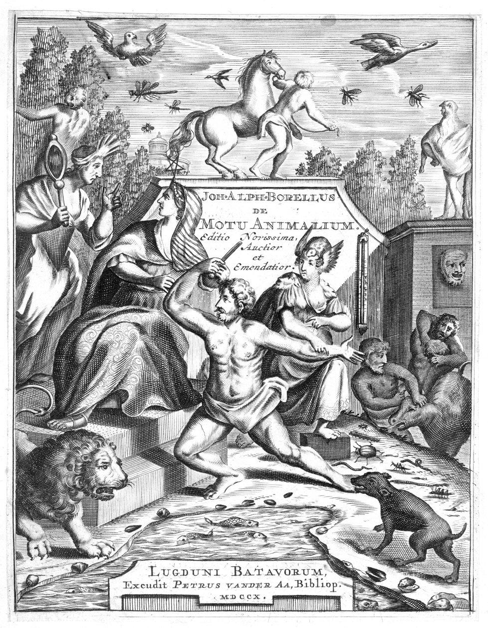 Halvtittel på De Motu Animalum av Giovanni Borelli, 1710 av Unbekannt