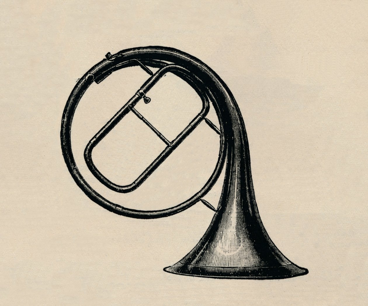 Håndhorn, 1895. av Unbekannt