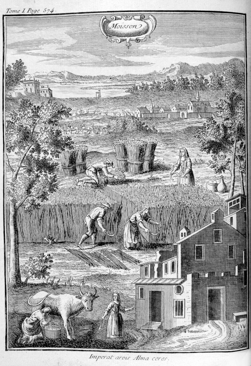 Harvest, 1775 av Unbekannt