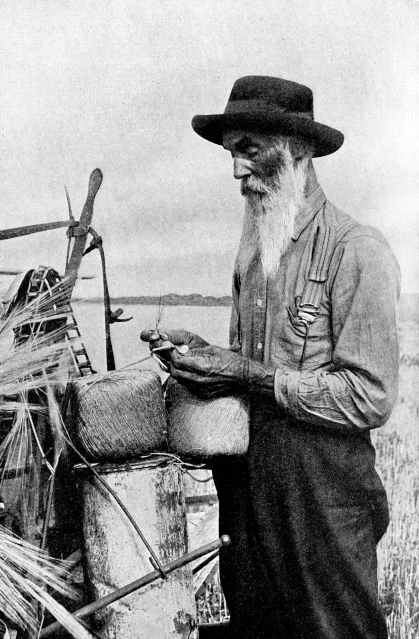 Høstetid i Red River-distriktet, Alberta, Canada, 1922 av Unbekannt