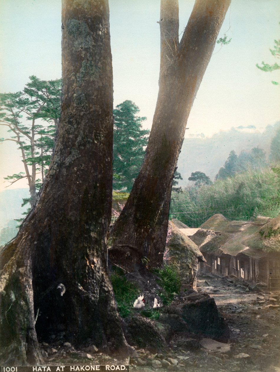 Hata ved Hakone Road, Japan, tidlig på 1900-tallet av Unbekannt