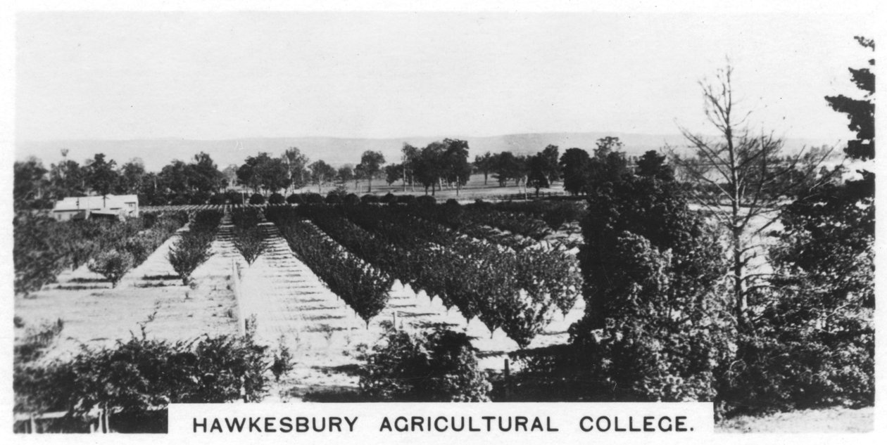 Hawkesbury Agricultural College, New South Wales, Australia, 1928 av Unbekannt