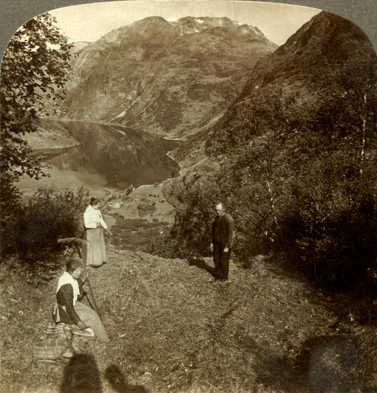 Høing på fjellhylla høyt over Marok bygd og speilklare Geirangerfjord, Norge, c1905 av Unbekannt