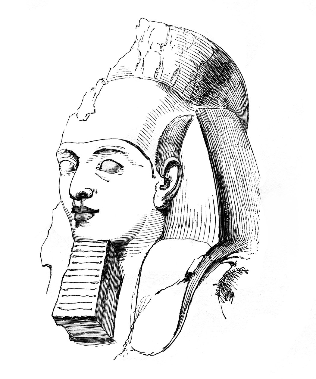 Leder av Rameses, 1848 av Unbekannt
