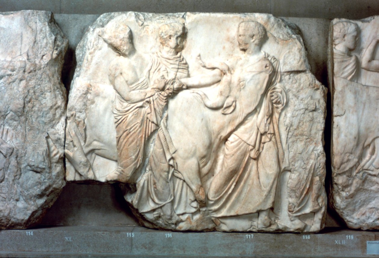 Kviger førte til ofring, fra sørfrisen til Parthenon, 447-432 f.Kr. av Unbekannt