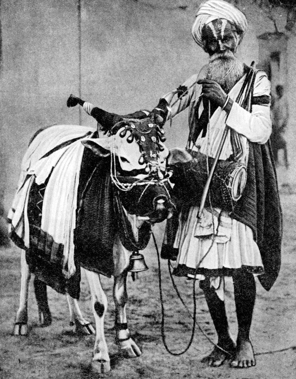 Hindu ku med hellig ku, India, 1936 av Unbekannt