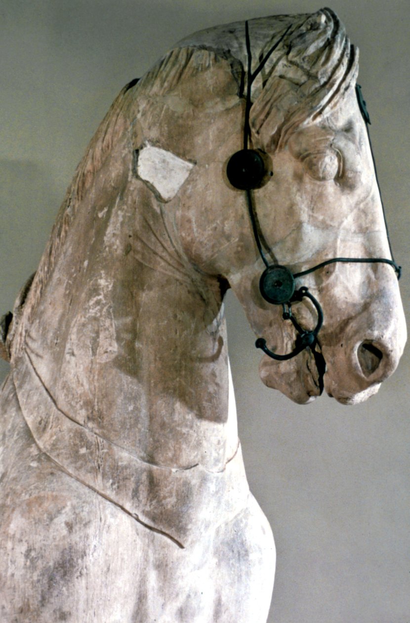Hest, Quadriga av mausoleet ved Halikarnassos, 350 f.Kr av Unbekannt