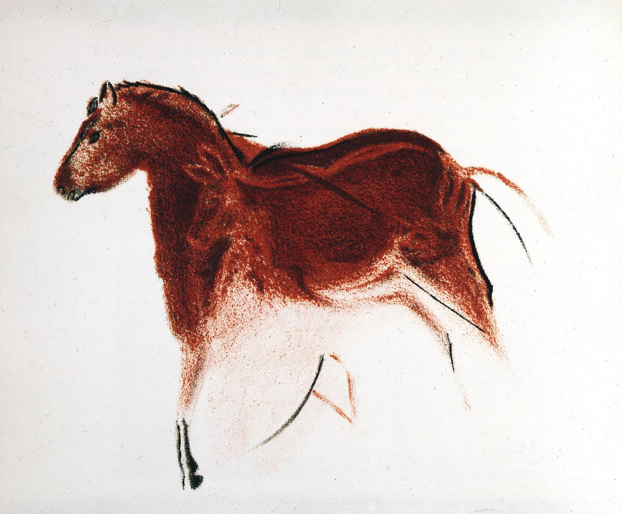 Hest og hind, paleolittisk hulemaleri fra Altamira, Sør-Spania, c16 000-c9000 f.Kr. av Unbekannt