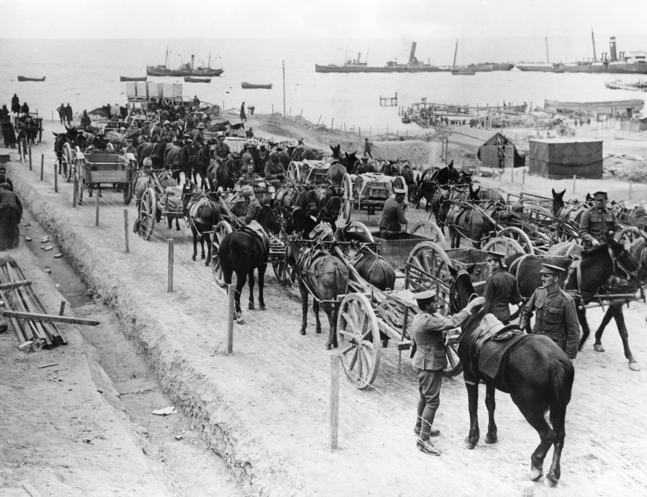 Hestetrukket transport, allierte operasjoner i Dardanellene, Tyrkia, 1915-1916 av Unbekannt