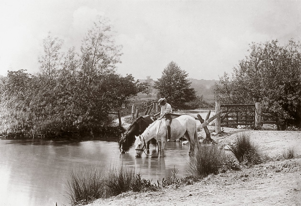 "Hester som drikker ved dammen", rundt 1890-tallet av Unbekannt