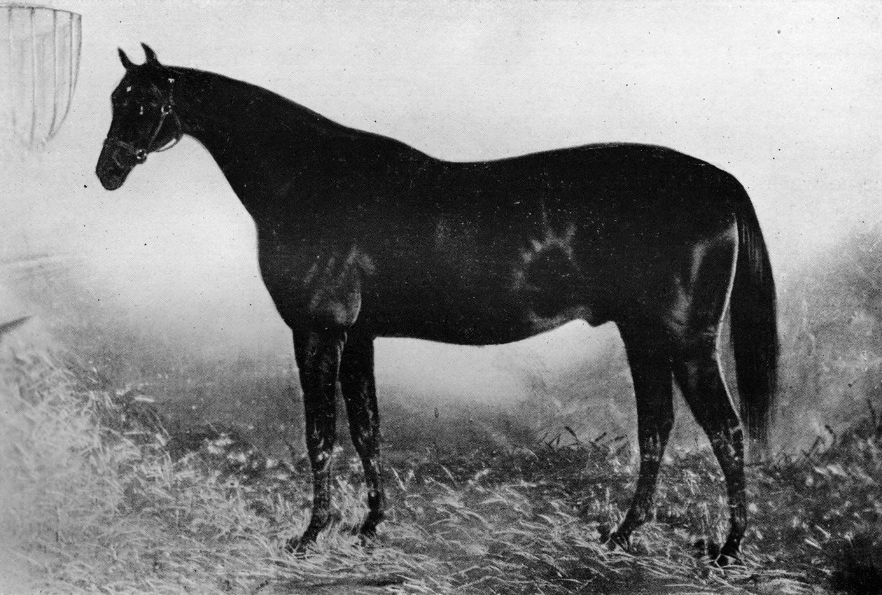 Gjestfrihet, 1800-tallet, 1911 av Unbekannt