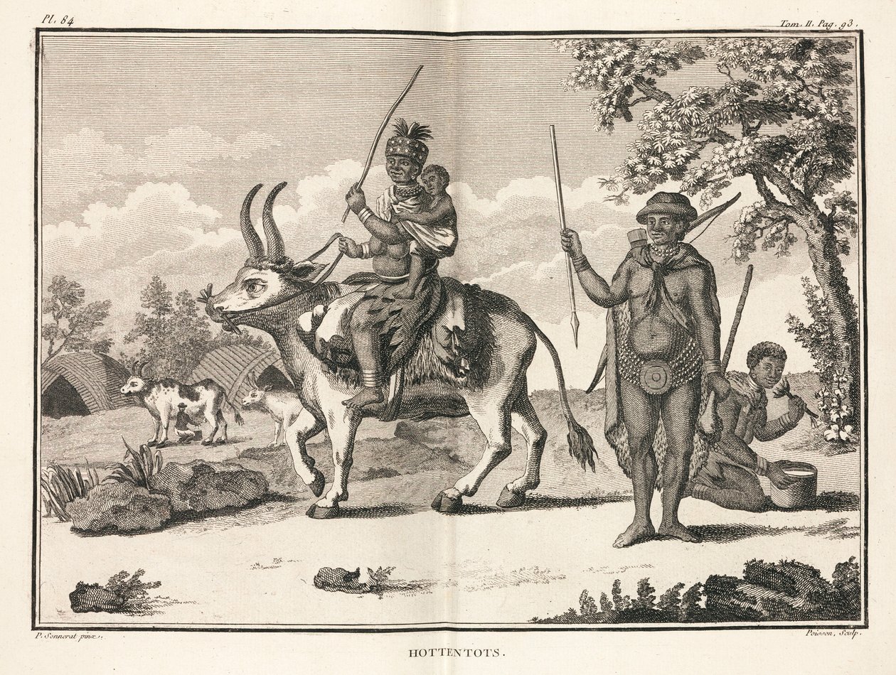 'Hottentots', Afrika av Unbekannt