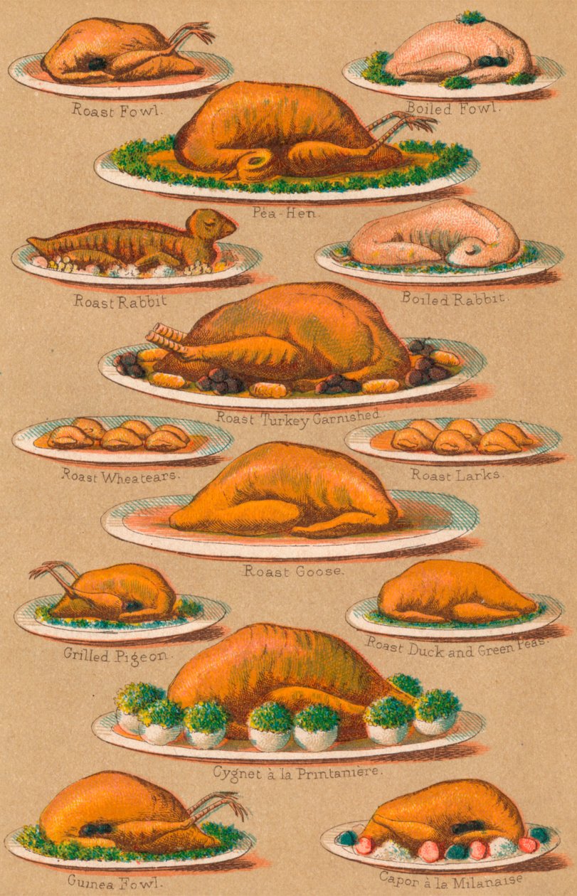 Husholdningsforvaltning - Plate VI, 1907, 1907 av Unbekannt