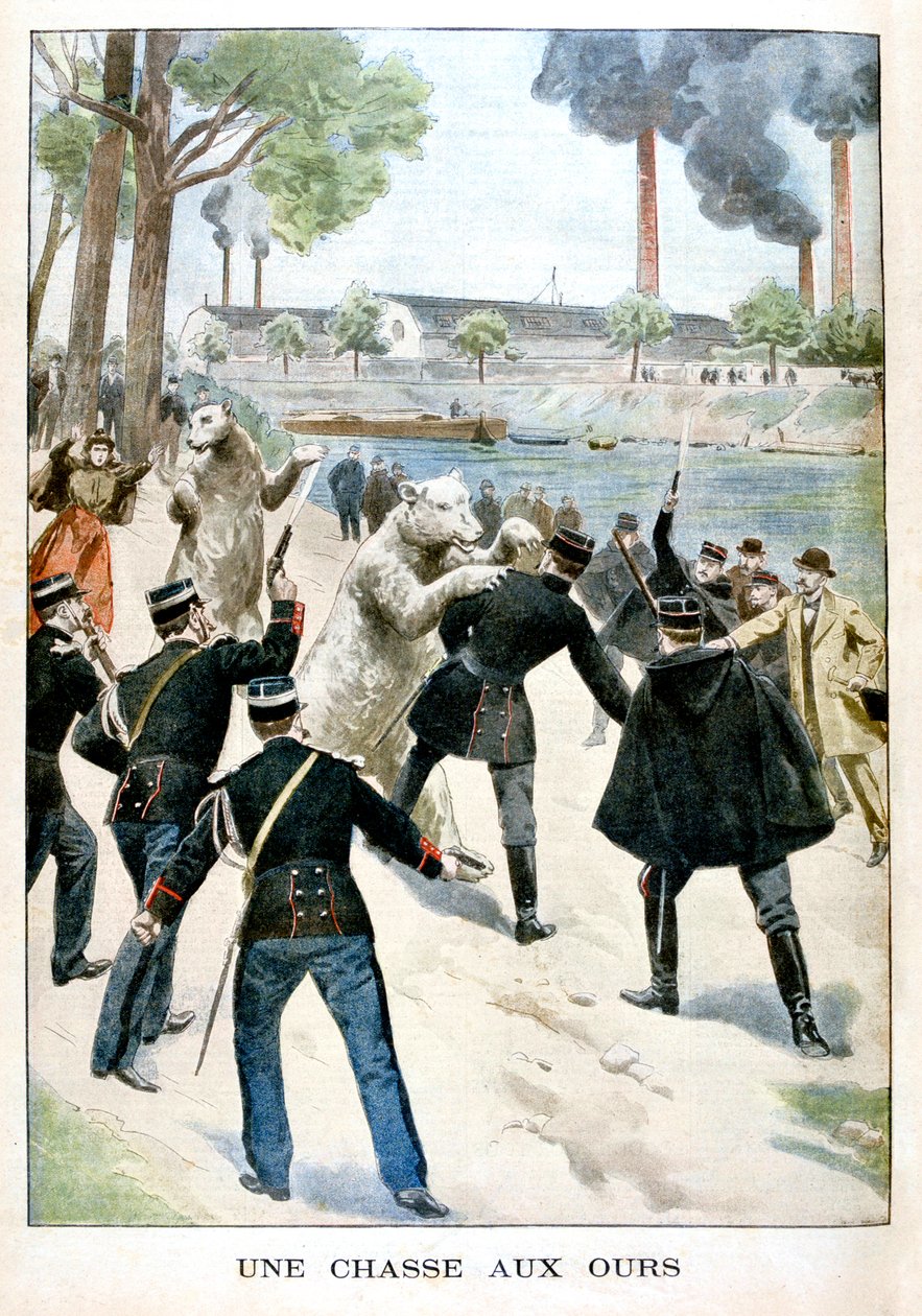 Jakt på bjørn, 1901 av Unbekannt