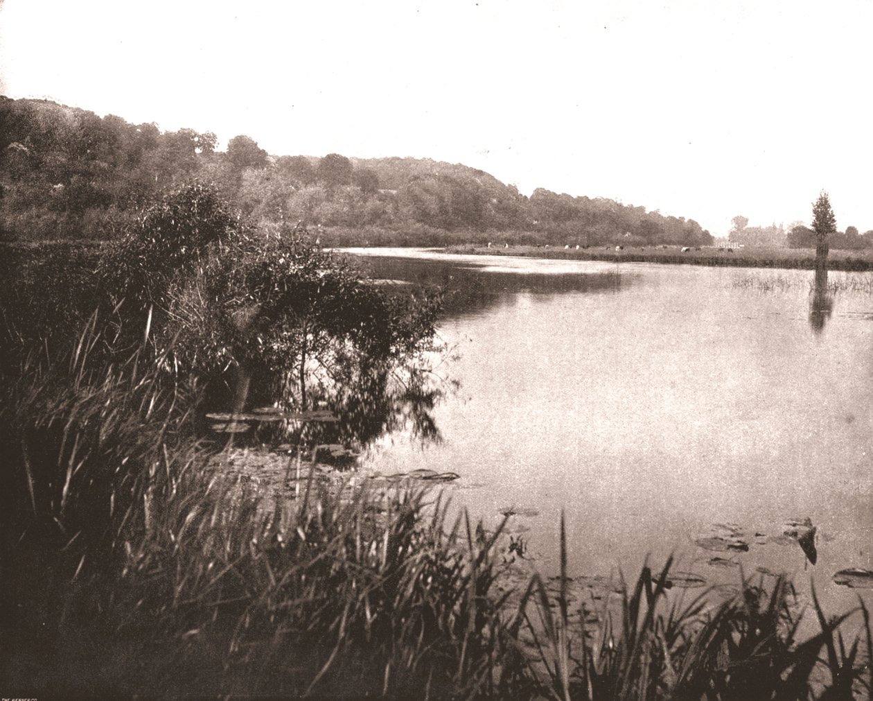 Hurley Reach, Themsen mellom Bisham og Medmenham, Buckinghamshire, 1894. av Unbekannt