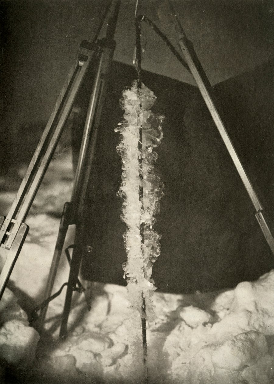 Iskrystaller dannet på linjen til en fiskefelle, c1908, 1909 av Unbekannt
