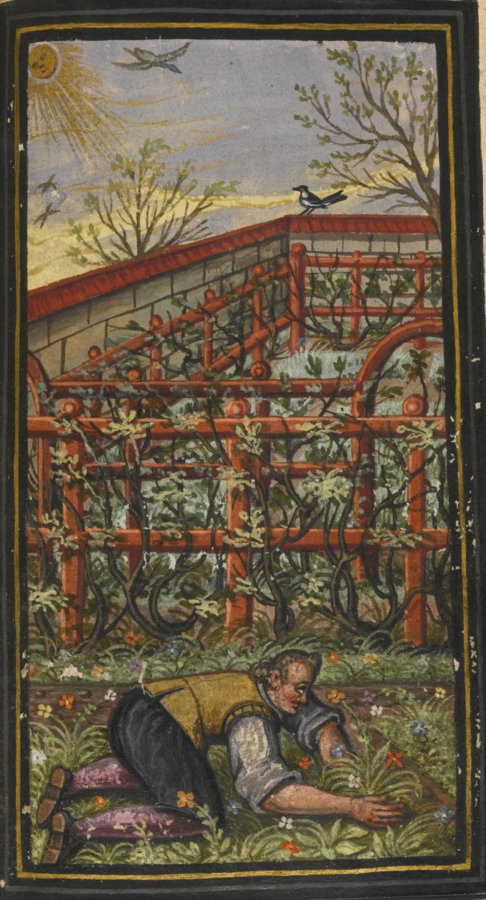 Illustrasjon for Det evige livs vidunderlige sommertid av Jacob Zader, 1603 av Unbekannt