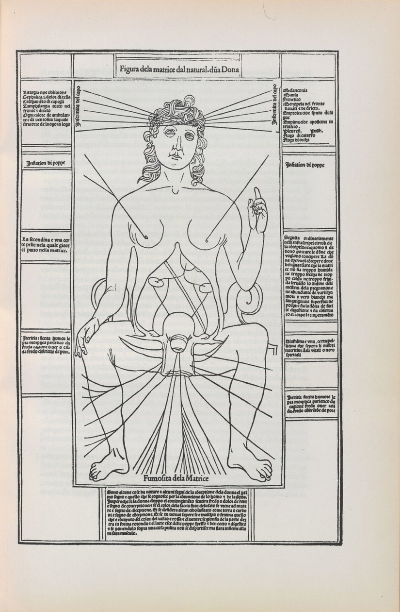 Illustrasjon fra Fasciculo di medicina av Johannes de Ketham, 1493. av Unbekannt