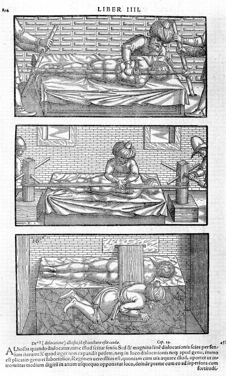 Illustrasjon fra Avicenna, 1556 av Unbekannt