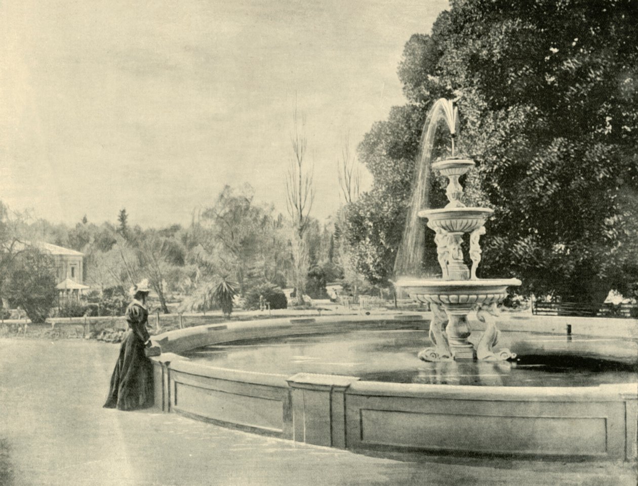 I den botaniske hagen, Adelaide, 1901. av Unbekannt