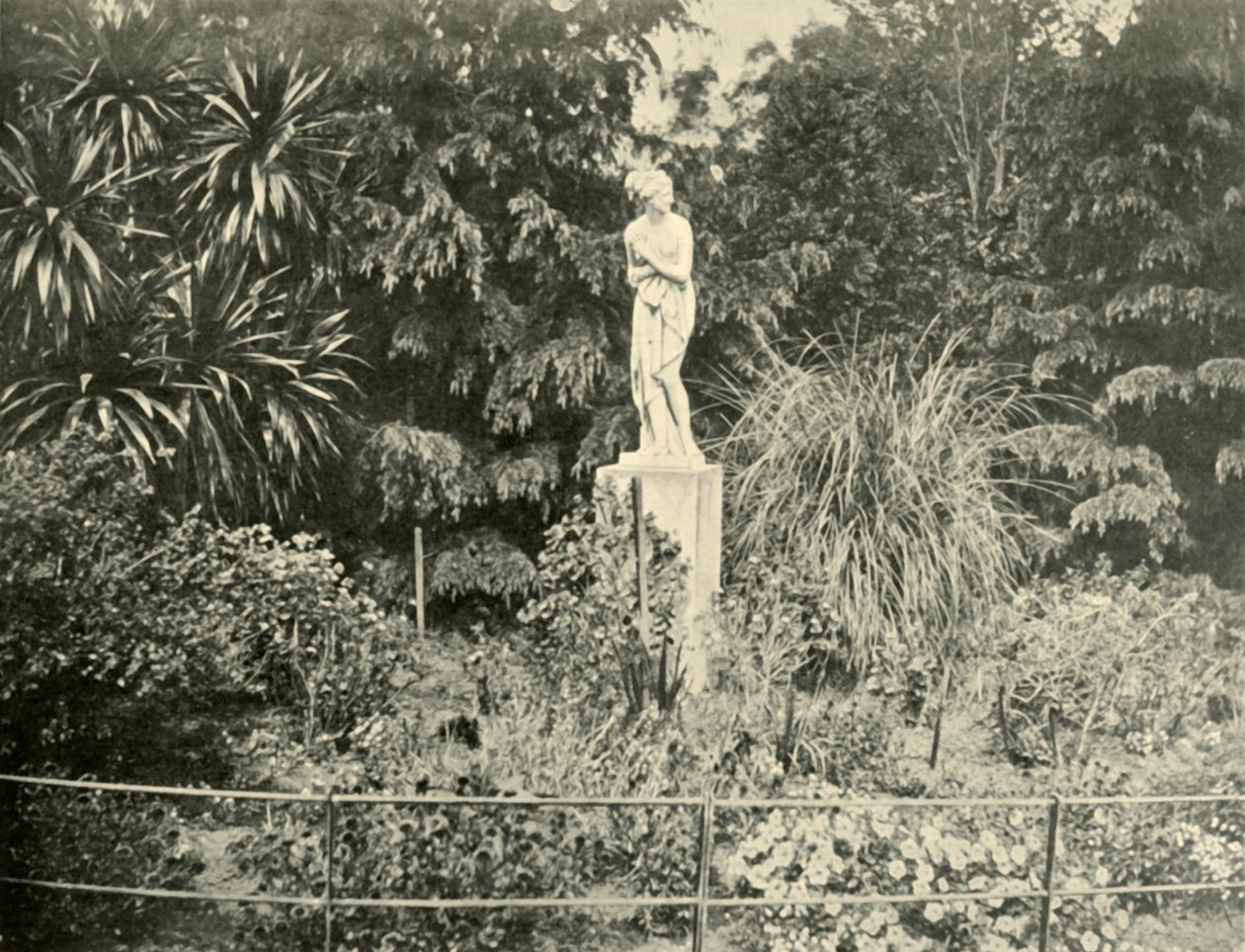 I Fitzroy Gardens, Melbourne, 1901. av Unbekannt