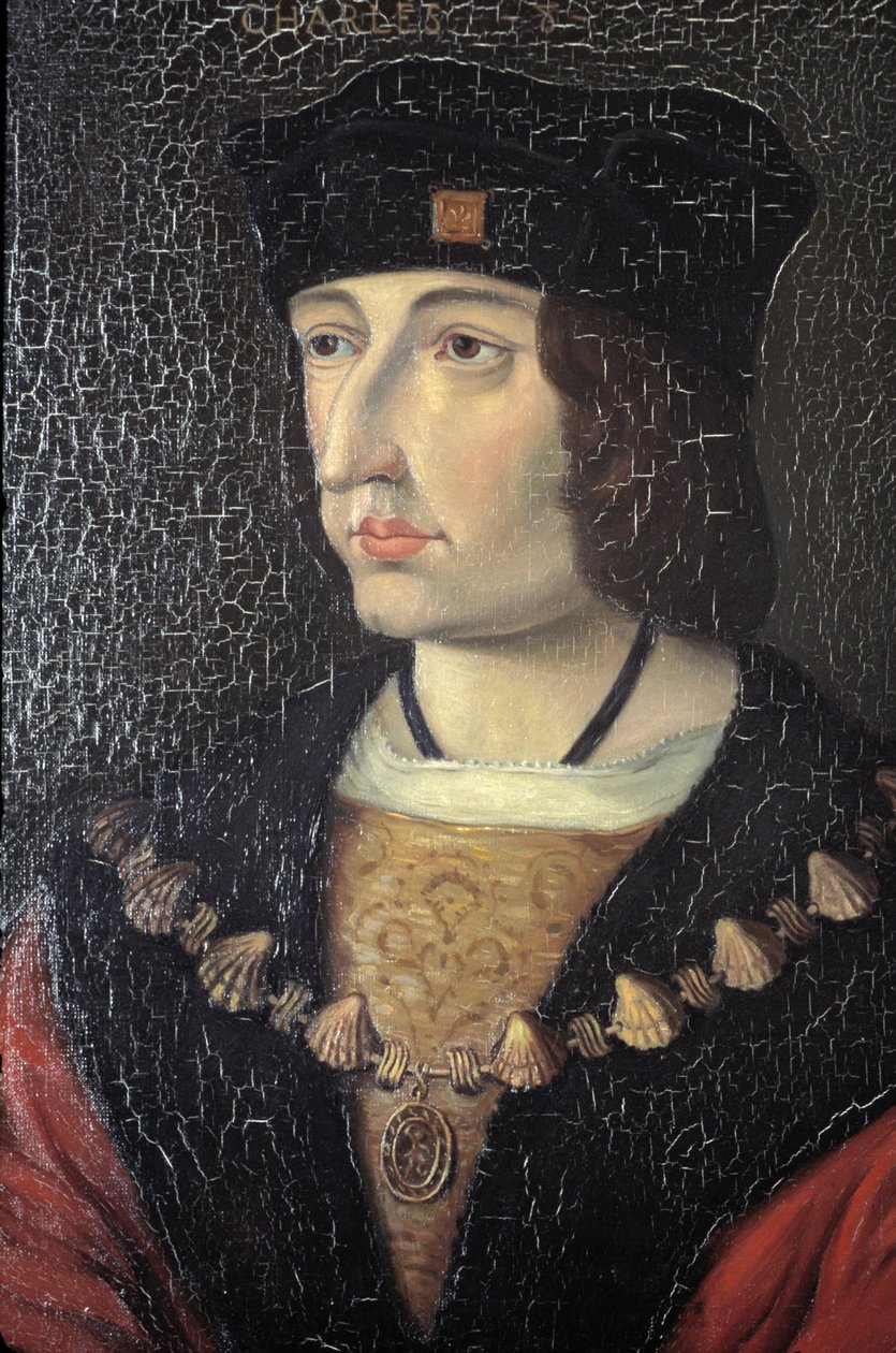 Indre et Loire N* 184 - Chateau de Loches - Portrett av Charles VIII av Unbekannt