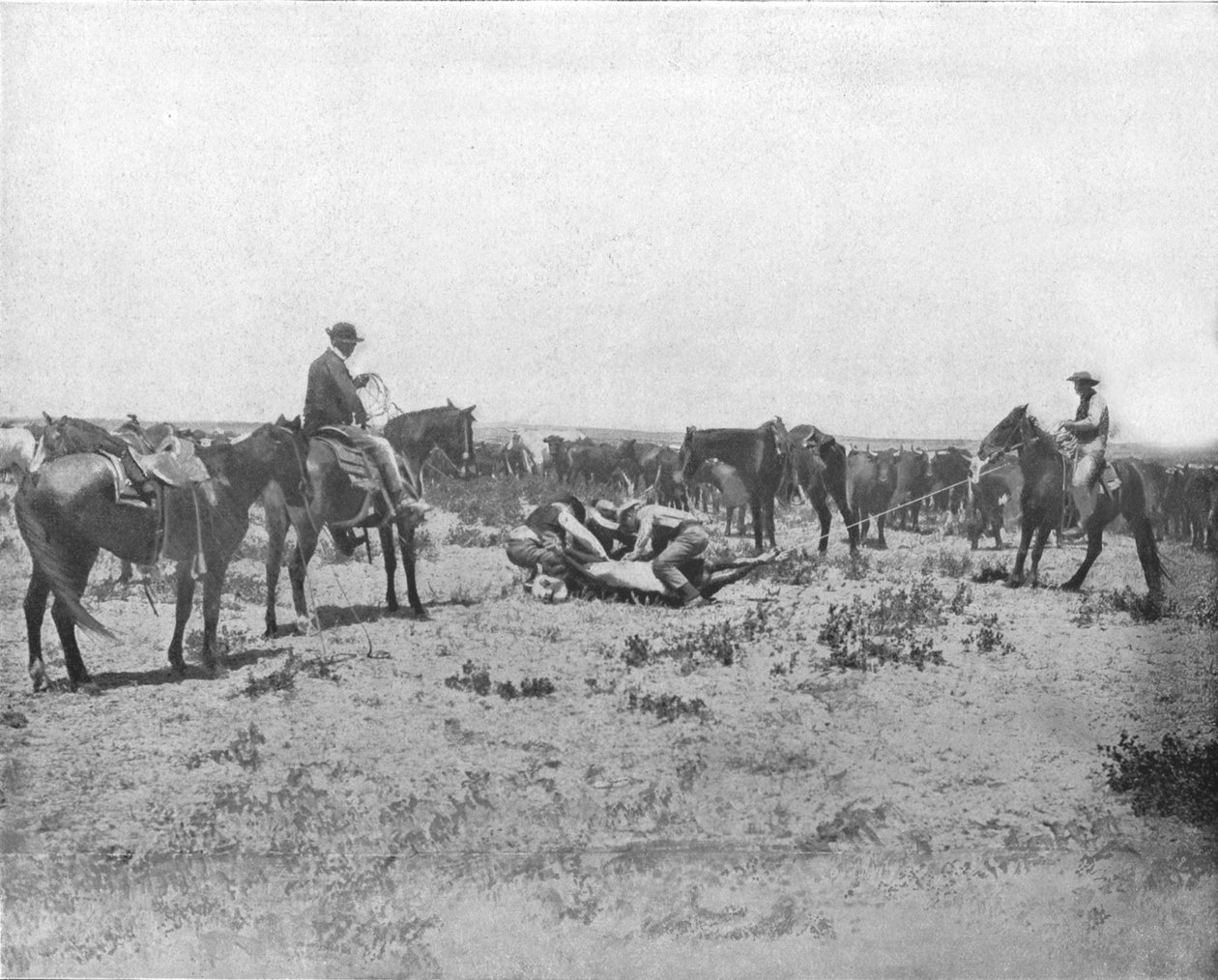 Inspiserer et merke på Prairies, USA, c1900. av Unbekannt