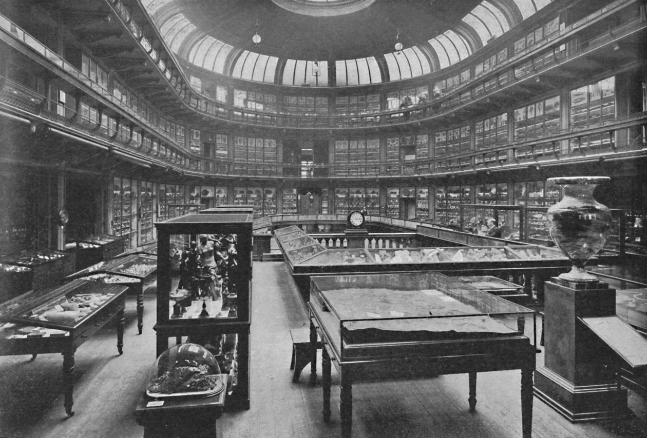 Interiør av Geologisk museum, Jermyn Street, 1904 av Unbekannt