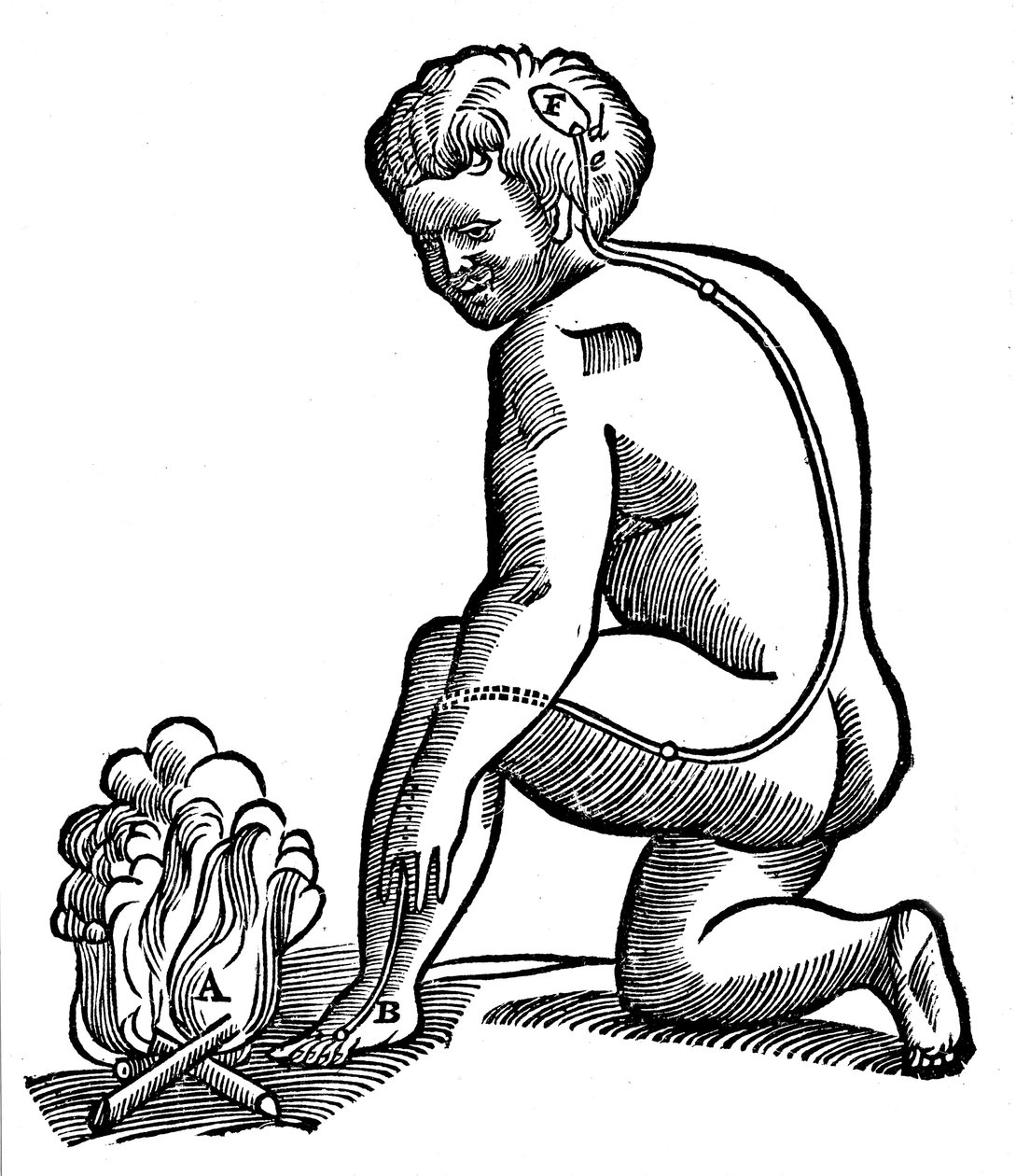 Ufrivillig bevegelse, Descartes idé om hvordan impulser fra lemmene når hjernen, 1692 av Unbekannt