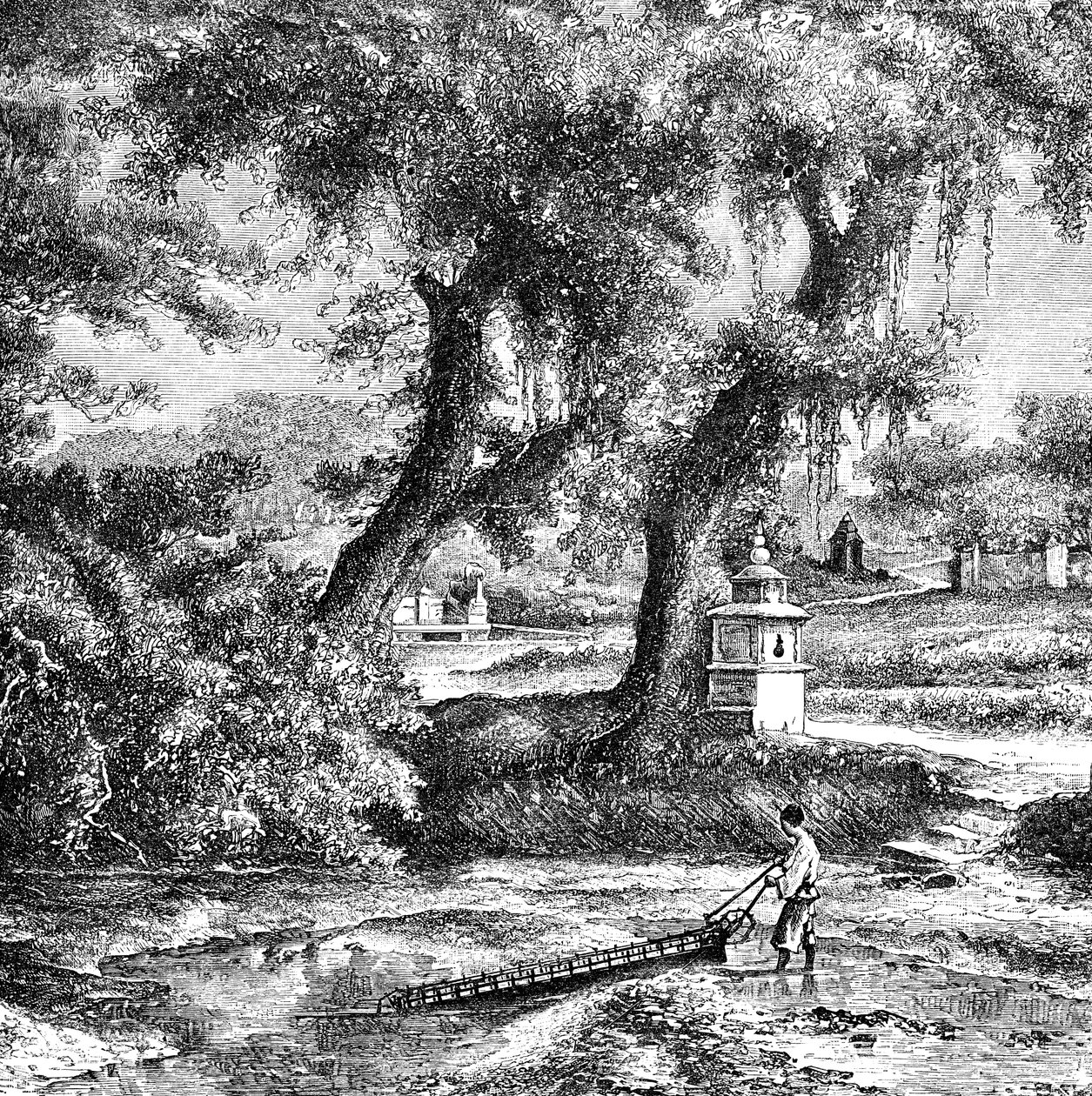Vanningspumpe, Sør-Kina, c1890 av Unbekannt