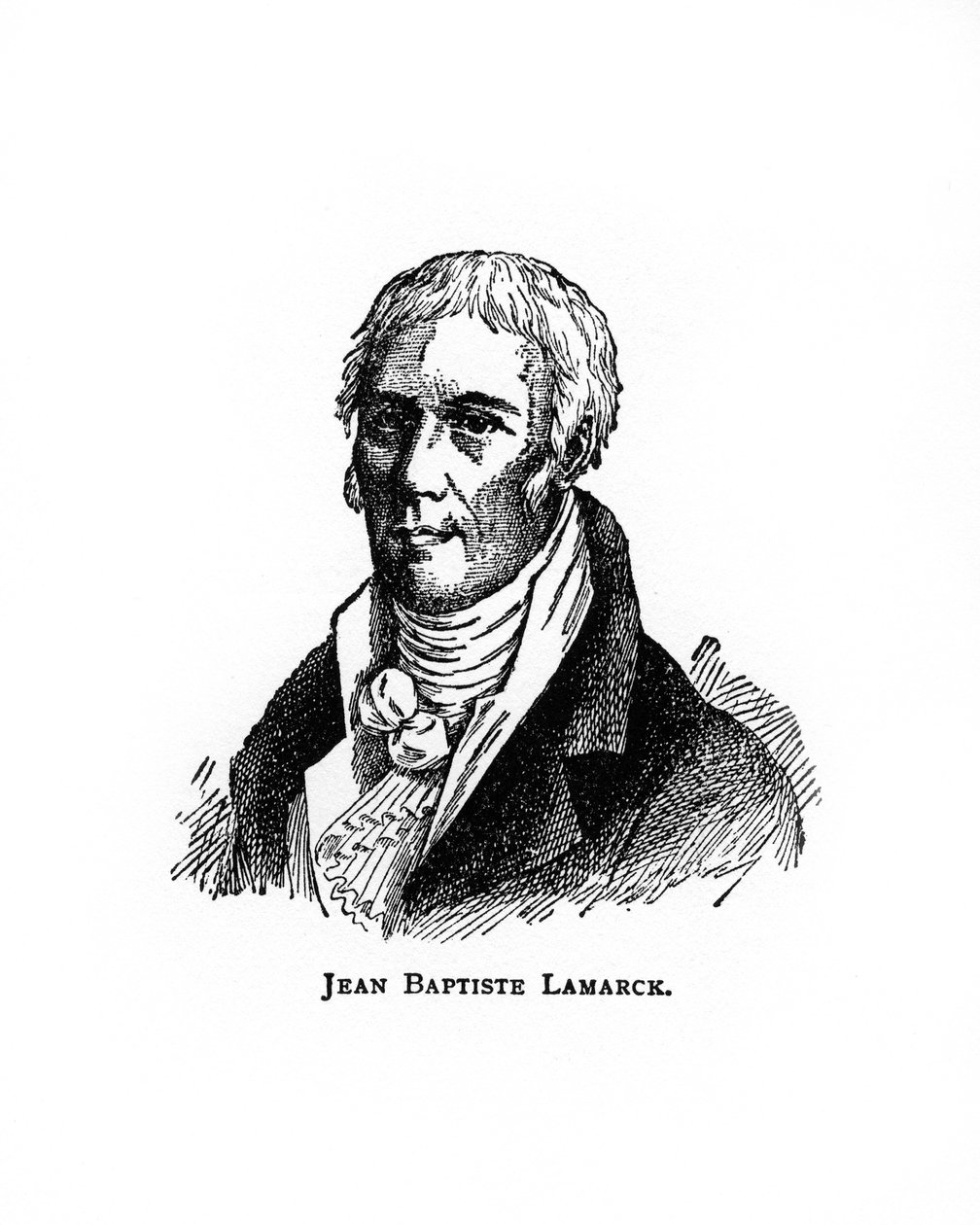 Jean-Baptiste Lamarck, fransk naturforsker, 1900-tallet av Unbekannt