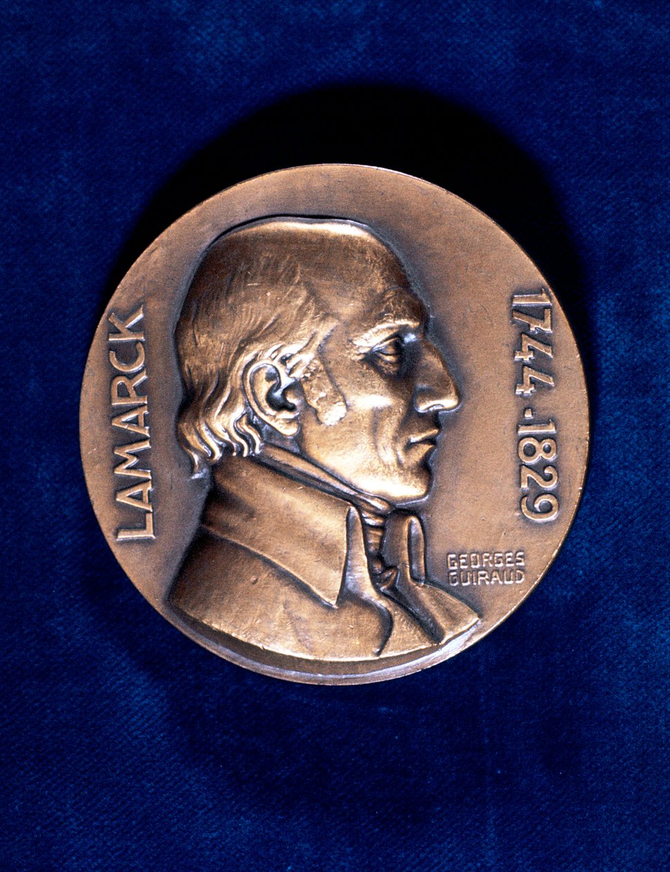 Jean Lamarck , fransk naturforsker av Unbekannt