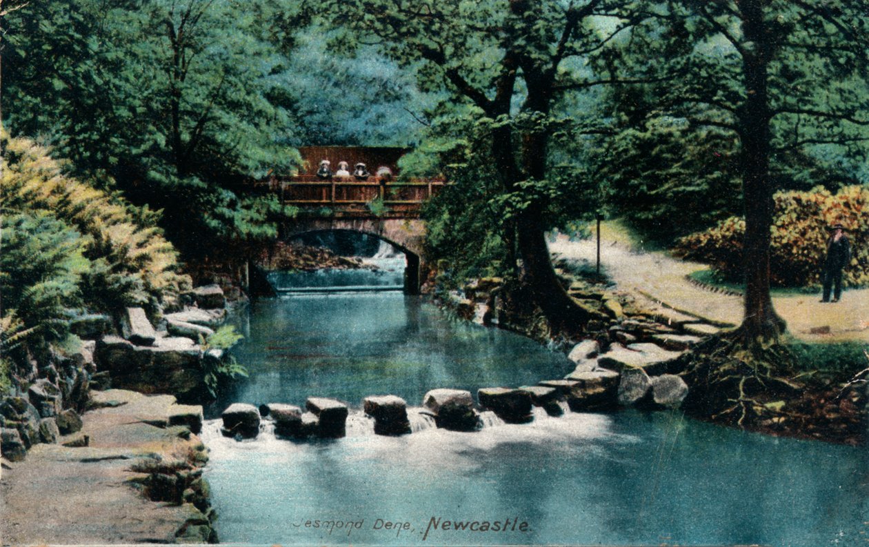 Jesmond Dene, Newcastle, c1905 av Unbekannt