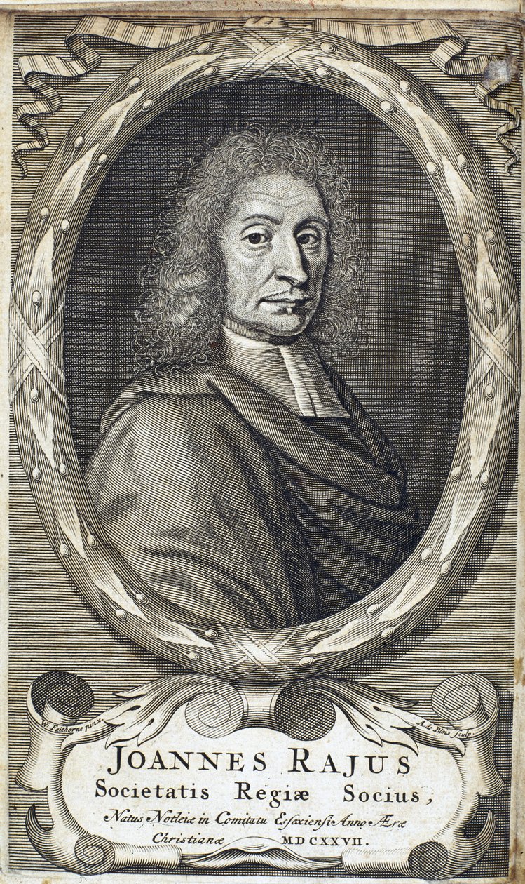 John Ray (Wray), engelsk naturforsker, ca 1700 av Unbekannt