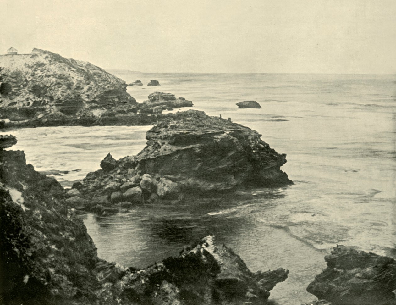 Jubilee Point, Back Beach, Sorrento, 1901. av Unbekannt