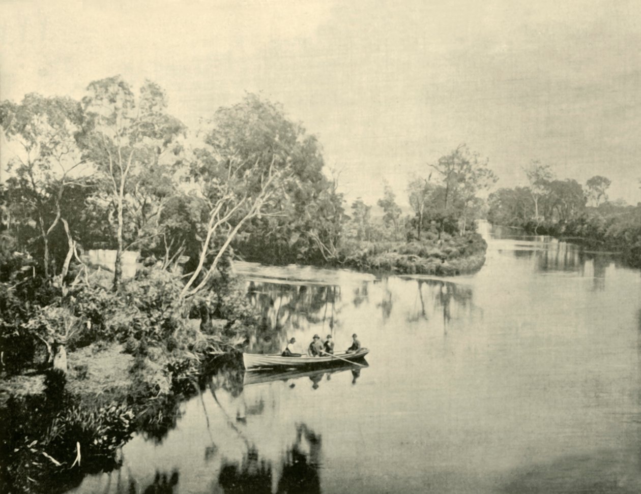 Junction of the Glengarry & Thompson Rivers, Victoria, 1901. av Unbekannt