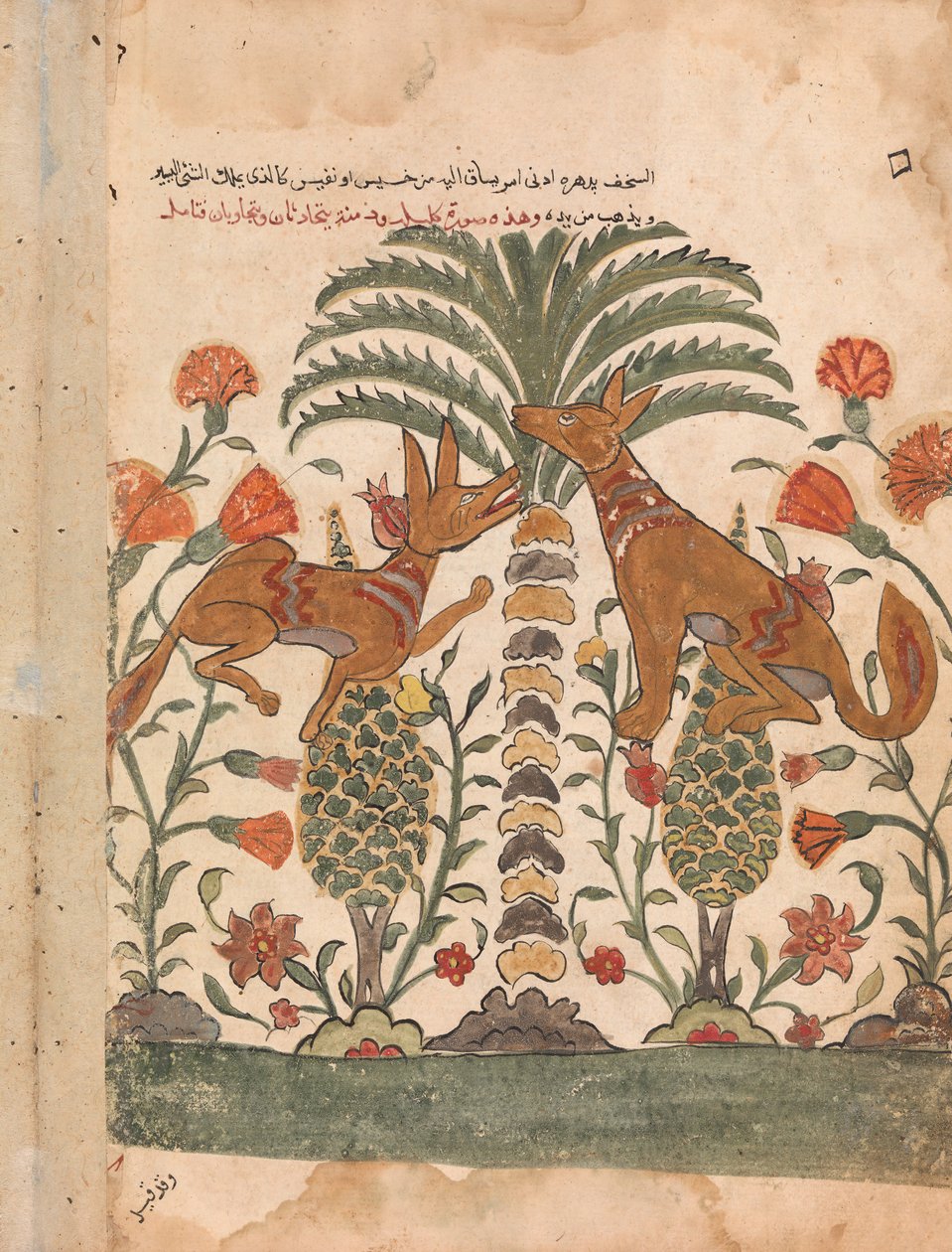 Kalila Upbraiding Dimna, Folio fra en Kalila wa Dimna, 1700-tallet. av Unbekannt