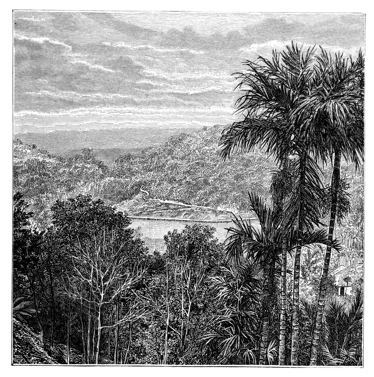 Kandy Maha Nuvara, Sri Lanka, 1895 av Unbekannt