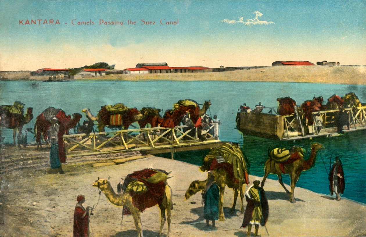 Kantara - Kameler som passerer Suez-kanalen, c1918-c1939. av Unbekannt
