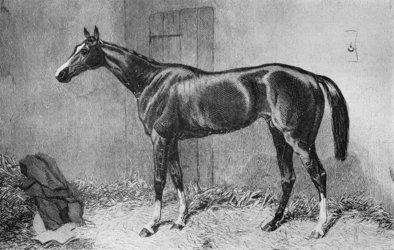 Kettledrum, ca 1860-tallet, 1911 av Unbekannt
