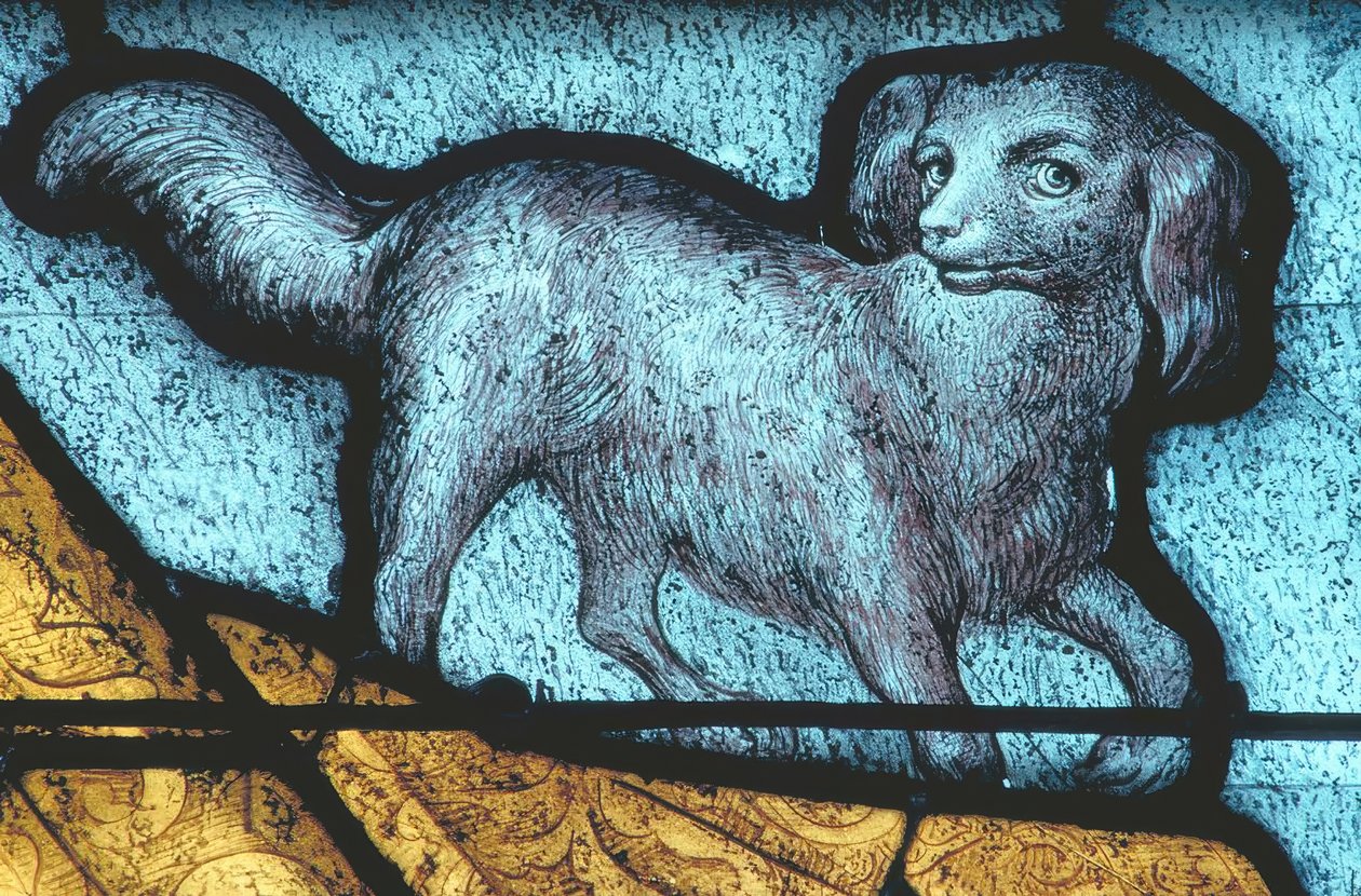 La Ferté-Bernard, hund / farget glass 1400-tallet av Unbekannt