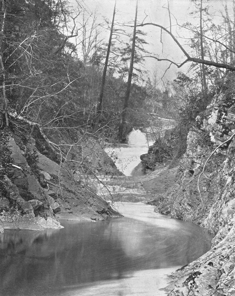 Lace Waterfalls and Dragons Pool, Natural Bridge, Virginia, USA, c1900. av Unbekannt